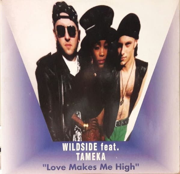 Wildside Featuring Tameka Starr - Love Makes Me High