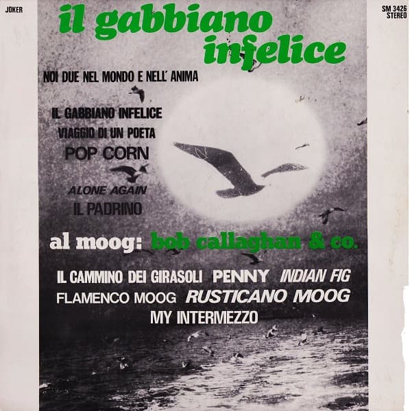 Bob Callaghan & Co. - Il Gabbiano Infelice - Here Is The Moog