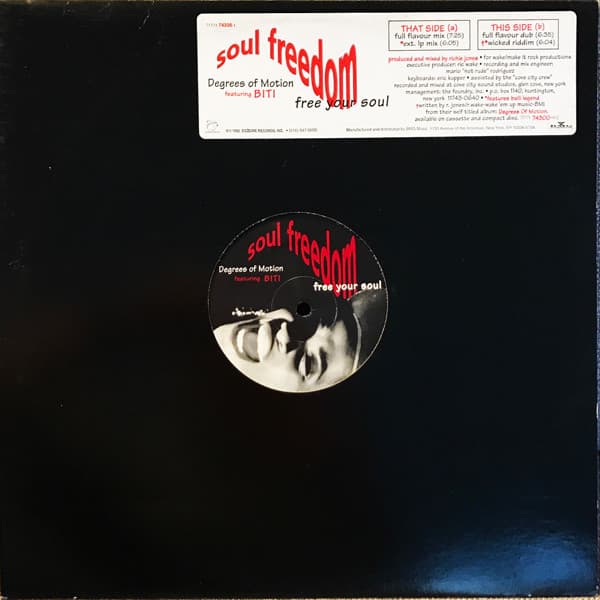 Degrees Of Motion Featuring Biti Strauchn - Soul Freedom (Free Your Soul)
