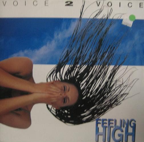 Voice 2 Voice - Feeling High